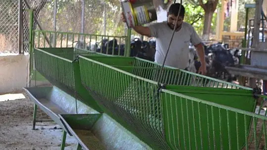 Kurbanlık Satışlarında Yoğunluk Başladı
