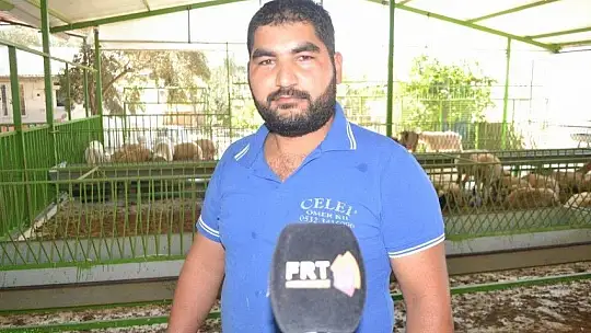 Kurbanlık Satışlarında Yoğunluk Başladı