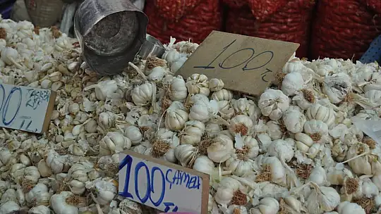 Fethiye'de sarımsağa enflasyon vurdu, kilosu 150 lira!