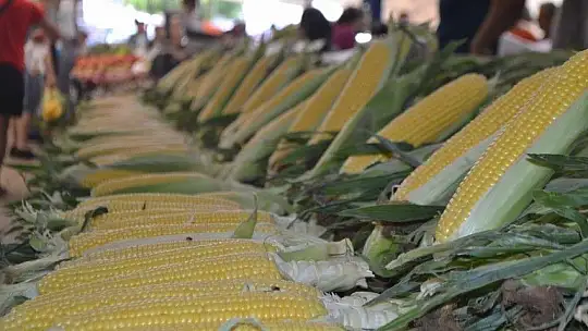 Salı Pazarı ucuz mu, pahalı mı?