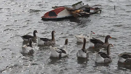 Fethiye Ördek Adası'nda Renkli Görüntüler