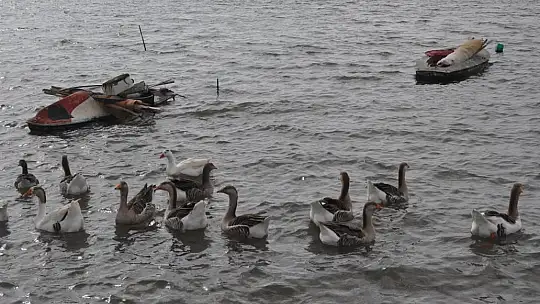 Fethiye Ördek Adası'nda Renkli Görüntüler