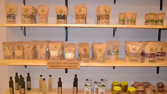 Kooperatif Başkanı Karaca, 'Kadınların hizmet üretmesini hedefliyoruz'