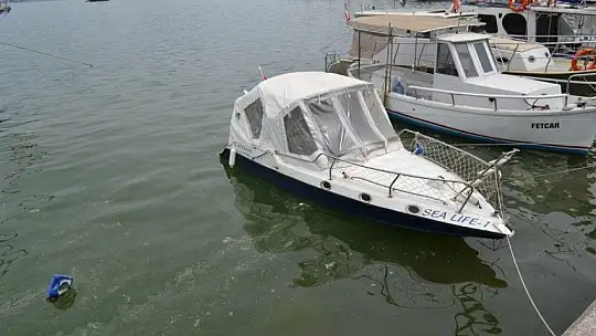 Fethiye körfezindeki sarılık polenlerden, çöpler insanlardan kaynaklanıyor!