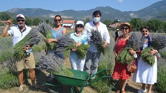Fethiye'nin Koku Vadisi'nde İlk Hasat