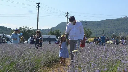 Fethiye'nin Koku Vadisi'nde İlk Hasat