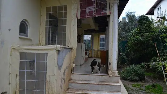 Bu sitede kim haklı?