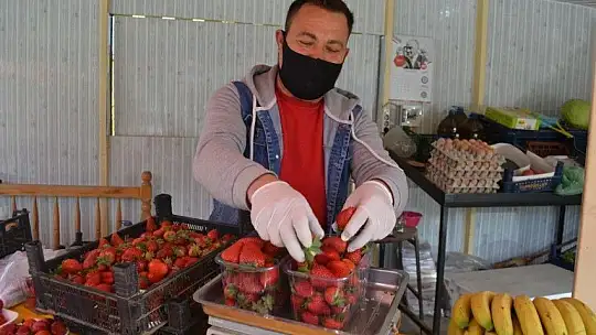 Organik çilek yoğun ilgi görüyor