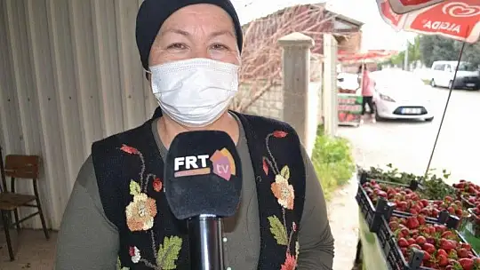 Organik çilek yoğun ilgi görüyor