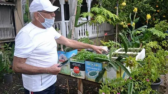 Pandemi dönemini tropikal meyve üreterek geçiriyor