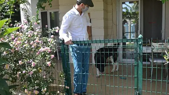 Akita cinsi Şensi isimli köpeğin sahibi konuştu