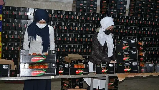 Domateste kota artışı fiyatlara yansıdı mı?