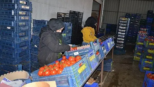 Domateste kota artışı fiyatlara yansıdı mı?