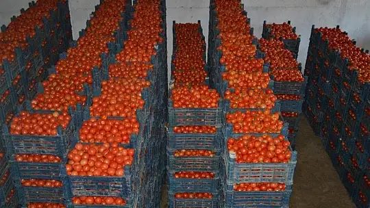 Domateste kota artışı fiyatlara yansıdı mı?