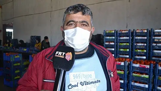 Domateste kota artışı fiyatlara yansıdı mı?