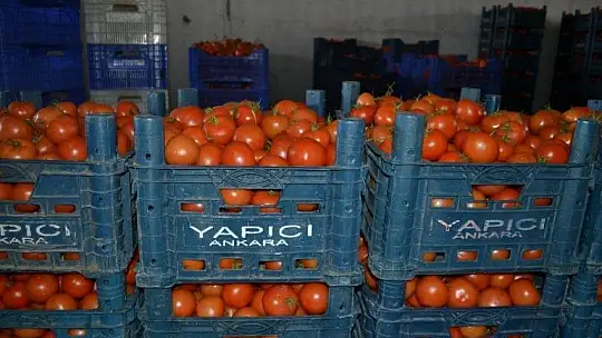 Domateste kota artışı fiyatlara yansıdı mı?