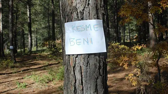 Muhtar Gözyaşlarına Boğuldu, 'Ağaçlarımızı Kesmeyin'
