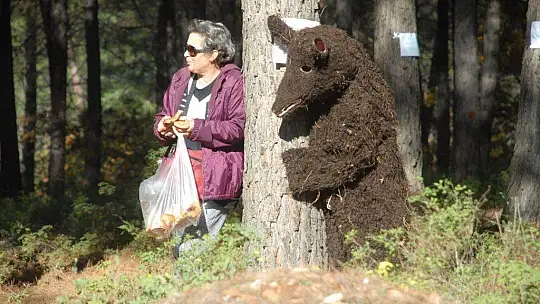 Muhtar Gözyaşlarına Boğuldu, 'Ağaçlarımızı Kesmeyin'