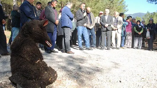 Muhtar Gözyaşlarına Boğuldu, 'Ağaçlarımızı Kesmeyin'