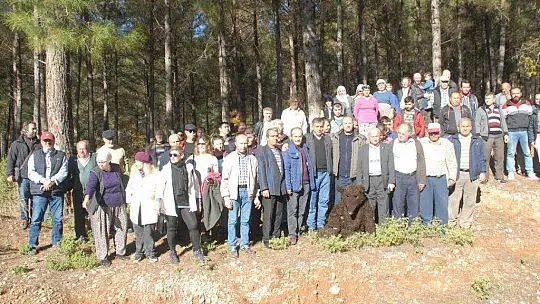 Muhtar Gözyaşlarına Boğuldu, 'Ağaçlarımızı Kesmeyin'