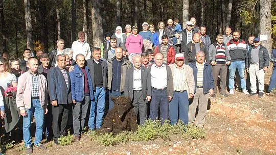Muhtar Gözyaşlarına Boğuldu, 'Ağaçlarımızı Kesmeyin'