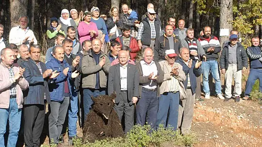 Muhtar Gözyaşlarına Boğuldu, 'Ağaçlarımızı Kesmeyin'