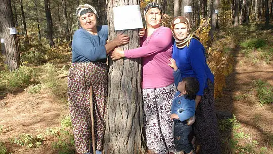 Muhtar Gözyaşlarına Boğuldu, 'Ağaçlarımızı Kesmeyin'