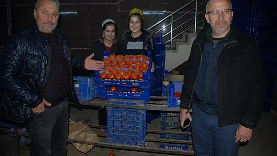 Fethiye üreticisi yeni kotayı bekliyor