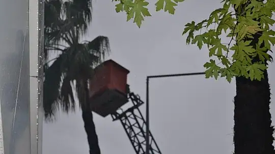 Fırtınada tehlike oluşturabilecek ağaçlar budandı