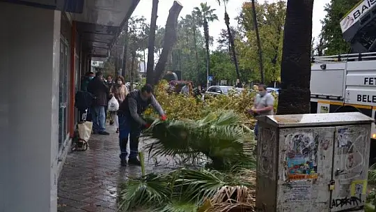 Fırtınada tehlike oluşturabilecek ağaçlar budandı