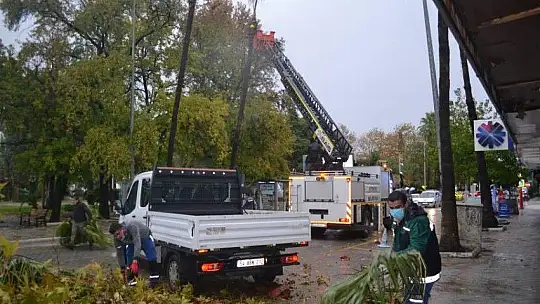 Fırtınada tehlike oluşturabilecek ağaçlar budandı