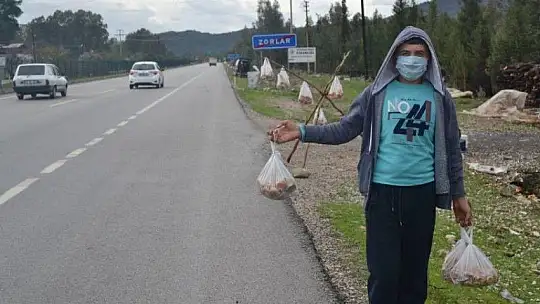 Çıntar mantarını hem satıyor hem de hediye ediyor