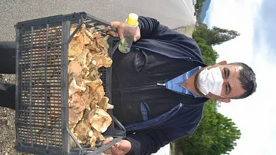 Çıntar mantarını hem satıyor hem de hediye ediyor