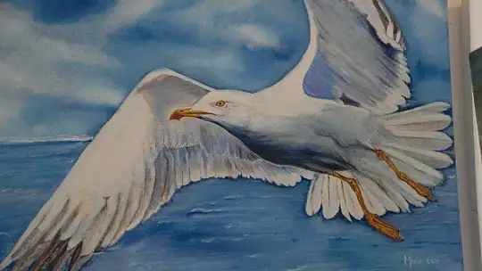 Fethiye'de Göz Kamaştıran Sergi