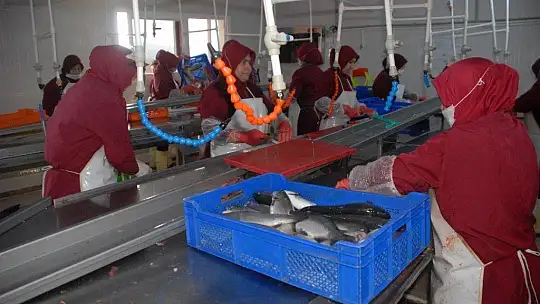 Alabalık İşleyen Seydikemerli Kadınlar