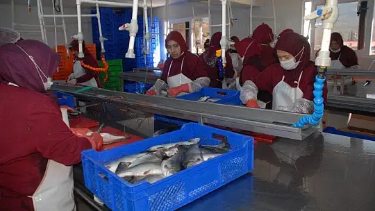 Alabalık İşleyen Seydikemerli Kadınlar