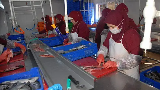 Alabalık İşleyen Seydikemerli Kadınlar