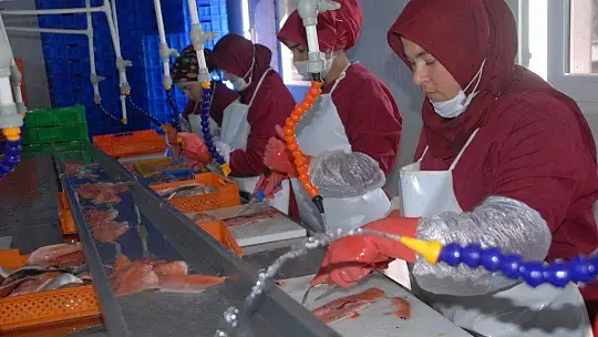 Alabalık İşleyen Seydikemerli Kadınlar