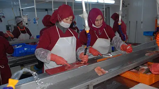 Alabalık İşleyen Seydikemerli Kadınlar