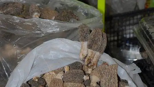 Salı Pazarına Korona Ayarı