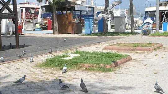 Fethiye'de Yasak Sessizliği