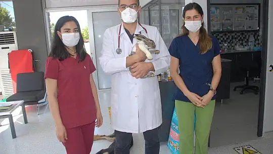 Fethiye'de İlk Doku Nakli