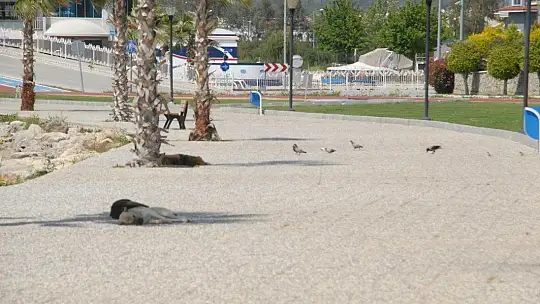 Fethiye'de Kısıtlama Sessizliği