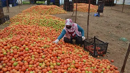 Karayiğit 'Çiftçilerin kredileri yapılandırılmalı'