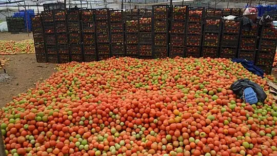 Karayiğit 'Çiftçilerin kredileri yapılandırılmalı'