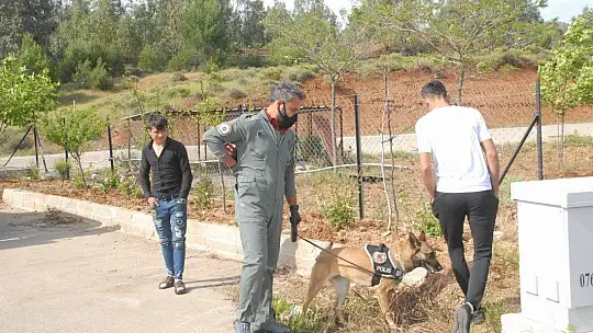 Tedbirleri Gevşetmeyelim