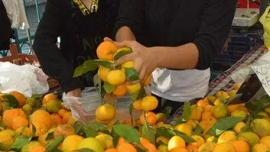 Kış sebze ve meyvelerinde fiyatlar düşüyor