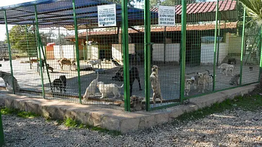 Can dostlara sobalı koruma