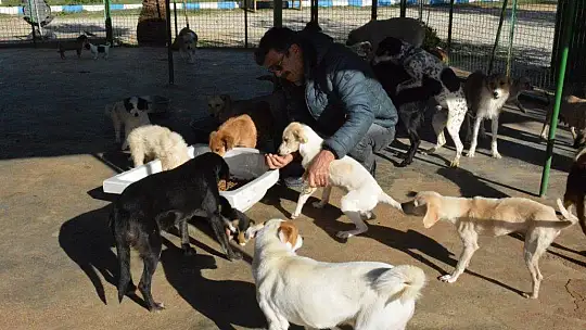 Can dostlara sobalı koruma