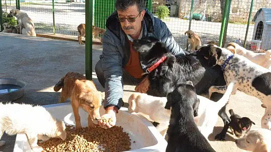 Can dostlara sobalı koruma